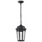 Nuvo East River Outdoor Hanging Fixture LED SMART Starfish RGBTW Matte Black, Clear Water Glass 62/5944 - alternate 5